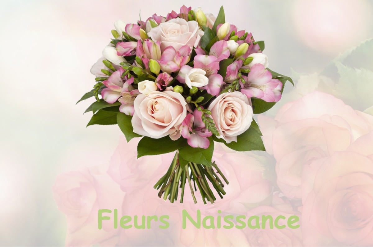 fleurs naissance XIVRAY-ET-MARVOISIN